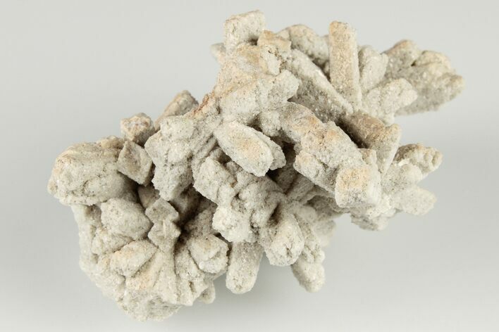 Radiating, Sand Celestine (Celestite) Crystals - Kazakhstan #193435
